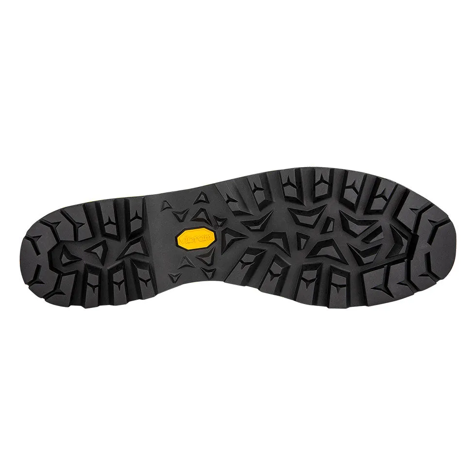 Men's Alpine Expert II GTX