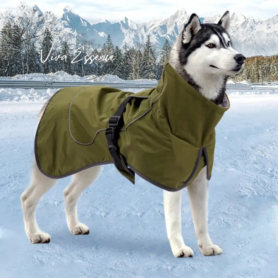 Waterproof Winter Dog Coat, Reflective, Warm Cotton Jacket